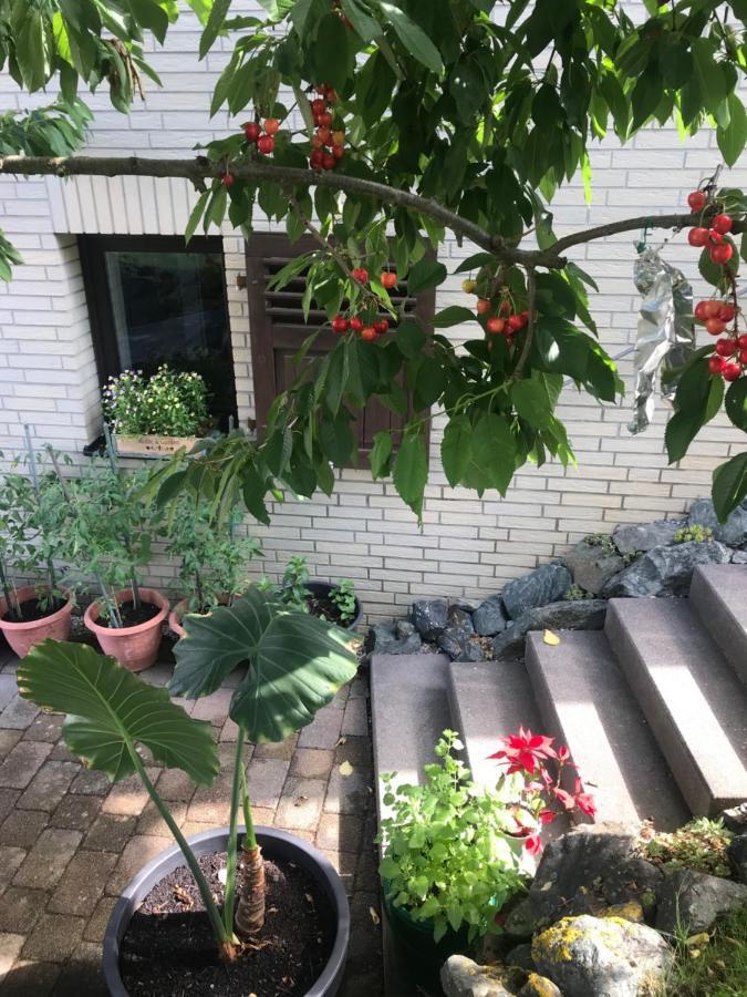 Ferienwohnung Am Weiltalradweg Weinbach Ngoại thất bức ảnh
