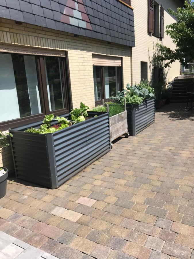 Ferienwohnung Am Weiltalradweg Weinbach Ngoại thất bức ảnh